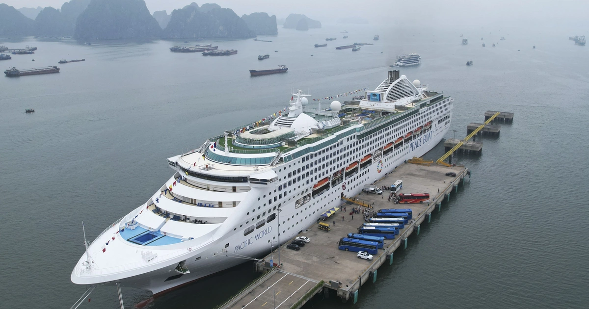 Sự kiện đồng hành: Tàu Hòa Bình (Peace Boat)